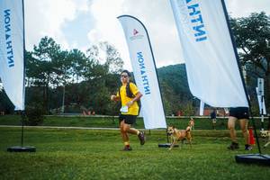 BIB: 
                            <button type="button" onclick="openModal(25006328)" class="btn btn-primary btn-sm float-right btn-popup" data-toggle="modal" data-target=".modal-high-quality">
                        <i class="fas fa-shopping-cart"></i> Add to Cart
                    </button>
                                            <button type="button" onclick="isThisMe(25006328, true)" class="btn btn-success btn-sm float-right btn-popup btn-isme hidden" data-toggle="tooltip" data-placement="bottom" title="นี่คือรูปของคุณใช่ไหม คลิกที่นี่เพื่อเอาเข้าอัลบั้ม">
                        <i class="fas fa-plus"></i> Add to album
                    </button>
                    <button type="button" onclick="isThisMe(25006328, false)" class="btn btn-warning btn-sm float-right btn-popup btn-isnotme hidden">
                        <i class="fas fa-ban"></i> Remove from album
                    </button>